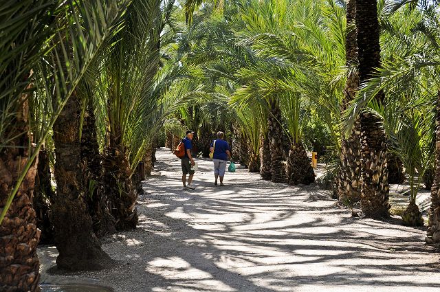 Nieuw circulair wandelpad in Elche – Costa Blanca in september open voor publiek - DroomHuisSpanje